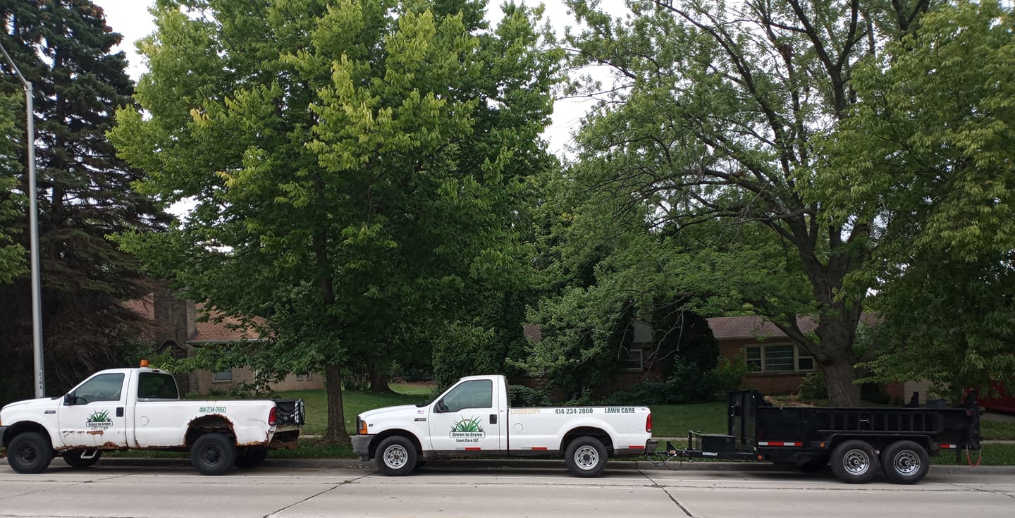 Professional lawn care equipment